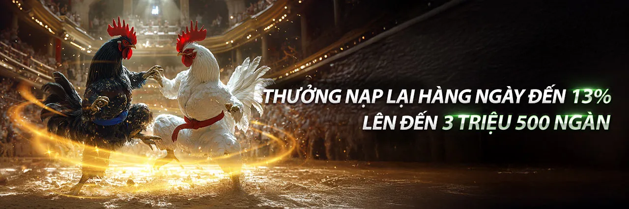 Chương trình Đại lý Thabet mang lại cơ hội kiếm tiền vàng